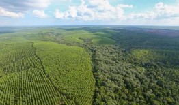 想通过下载App实现绿色融资？这些要点你得知道