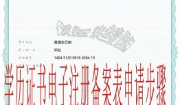 imToken钱包客服渠道怎么选？邮箱支持与使用指南