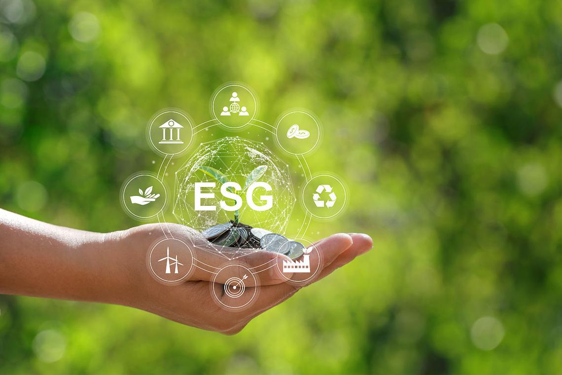 绿色钱包简介_如何通过imToken钱包下载app实现绿色投资？_绿色钱包